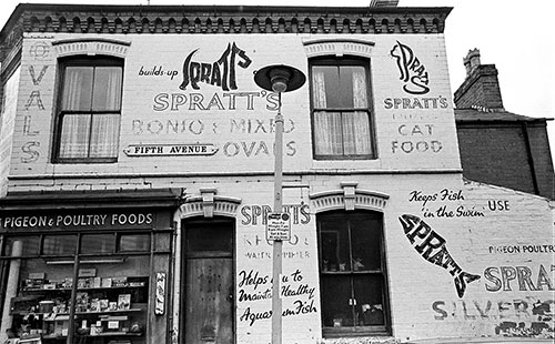 Pet shop signs, Birmingham  (1974)