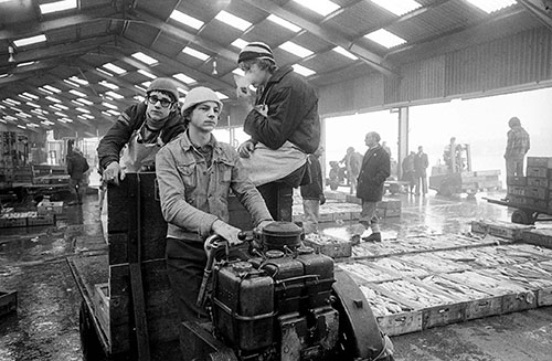 Fish boys, North Shields quay  (1979)