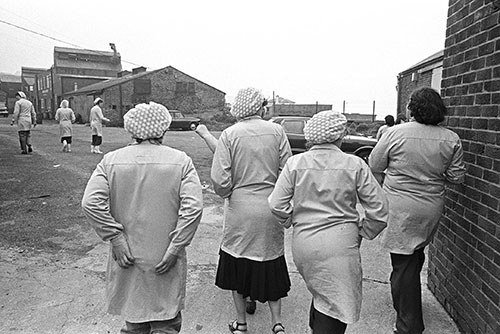 Fishgirls, frozen food factory, Tyneside  (1979)