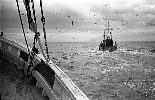 Heading out to the fishing grounds, North Sea  (1979)