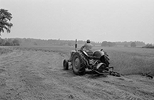 Cutting silage, Wichenford Worcs  (1969)