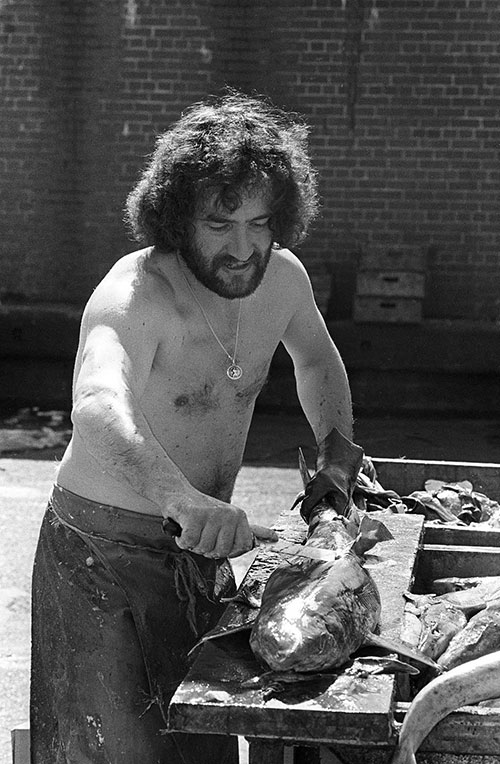 Fish gutter , North Shields quay Tyneside  (1979)