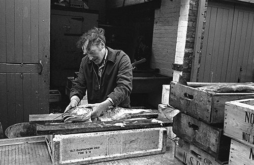 Tom Haddaway, fishmonger, North Shields  (1979)