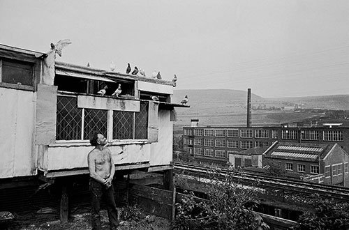 Pigeon fancier, Mossley Lancashire  (1969)