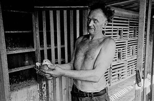 Pigeon fancier, Mossley Lancashire  (1969)