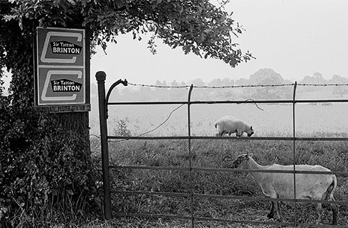 election poster, Wichenford Worcs  (1969)