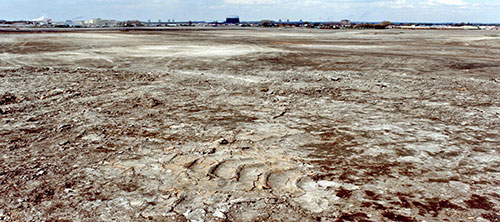 Site of the Bilston steelworks fifteen years after it closed