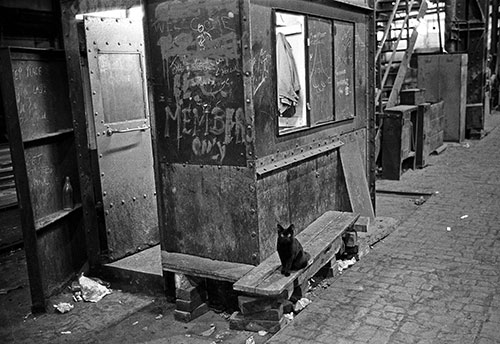 A works cat, steel furnaces, British Steel Bilston  (1977)