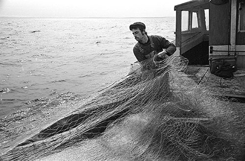 Fishing for salmon on a coble, Tyne Estuary  (1979)